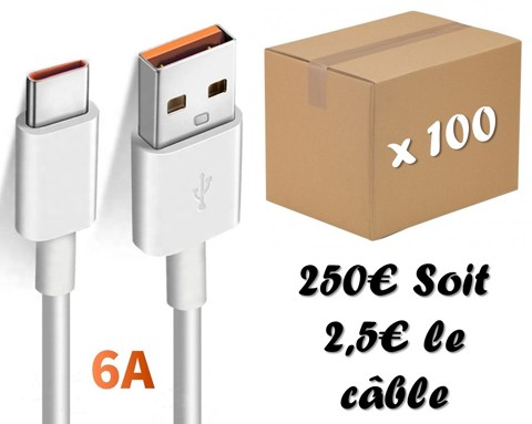 Lot de 100 Cbles Type C pour Android 6a 250 Six-Fours-les-Plages (83)