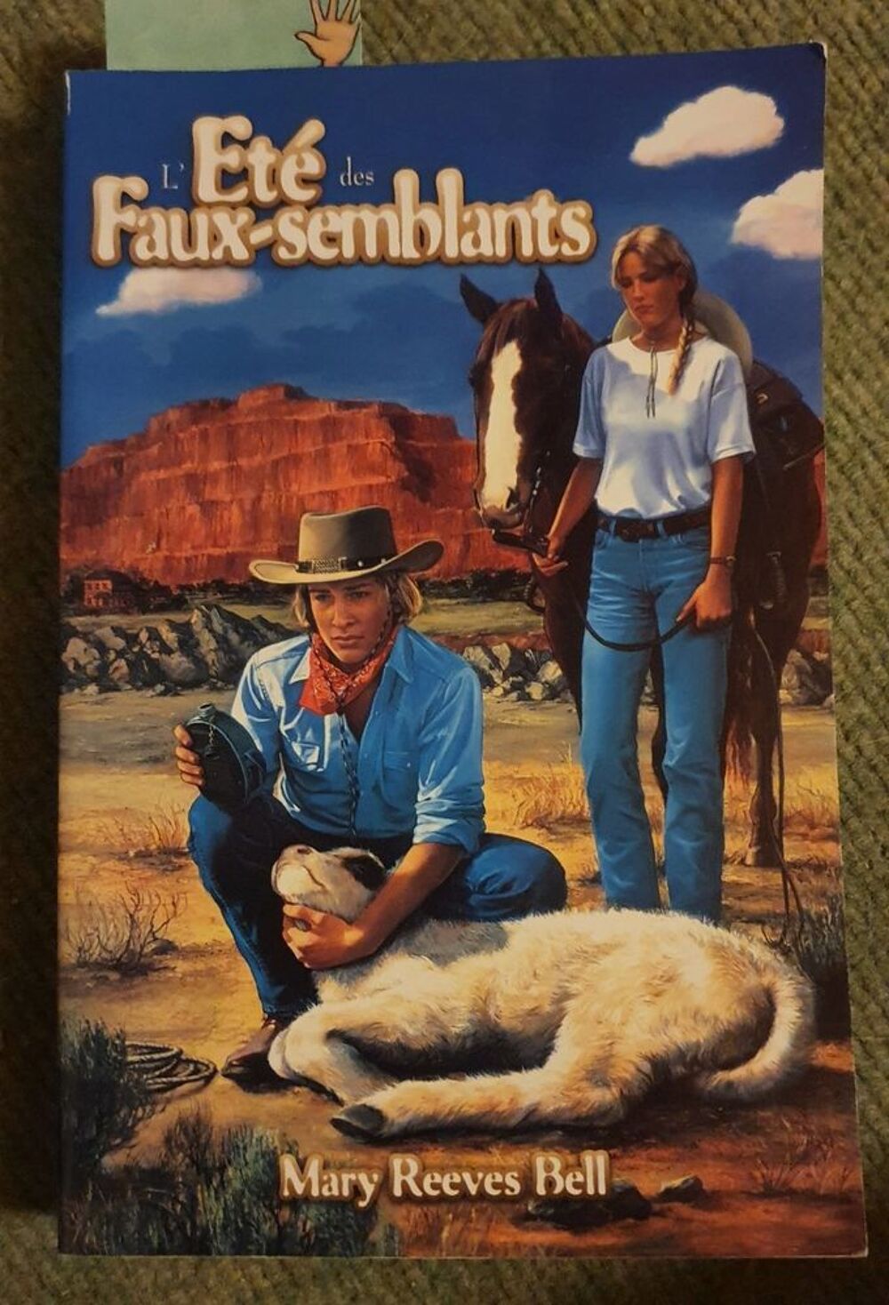 livre l'&eacute;t&eacute; des faux-semblants Livres et BD