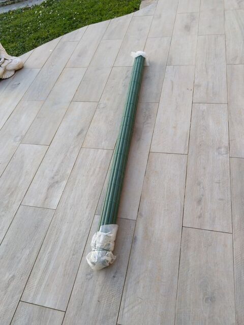 Canisse vert 
25 Melun (77)