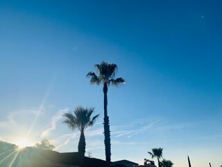  Terrain  vendre 1100 m