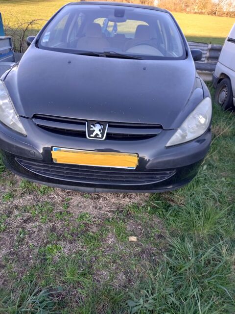 Peugeot 307 2.0 HDi - 110 Griffe 2003 occasion Saint-Domet 23190