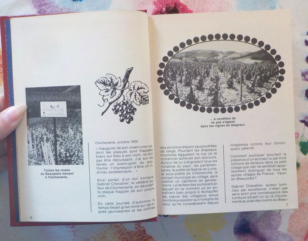 CLOCHEMERLE de Gabriel CHEVALLIER Ed. Rombaldi Livres et BD