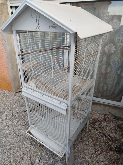 Cages de Canaris 120 66470 Sainte-marie