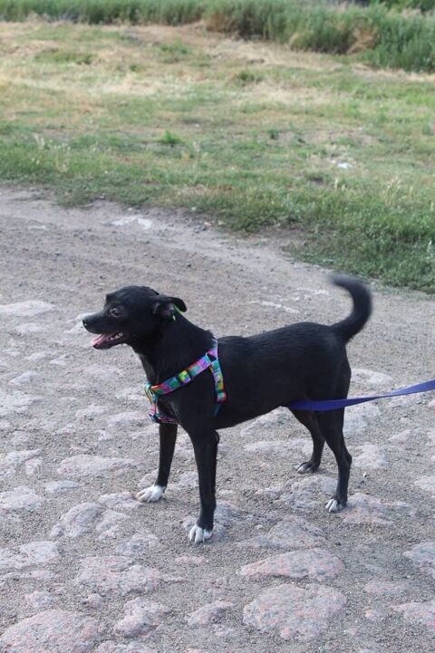 A L'ADOPTION FIALKA 0 75018 Paris