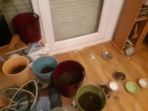 Lot de 4 pots pour fleurs ou plantes 30 Montb�liard (25)