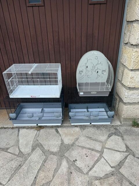 Cage oiseau 10 93330 Neuilly-sur-marne