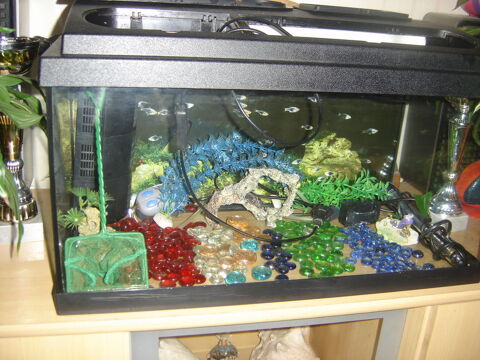 aquarium 60 litres 65 02100 Lesdins