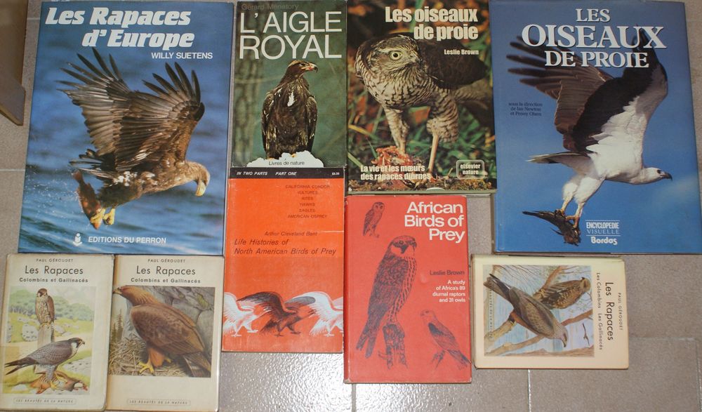 livres rapaces oiseaux proie Livres et BD