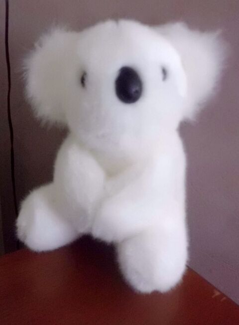 koala blanc aurora 17 Oignies (62)