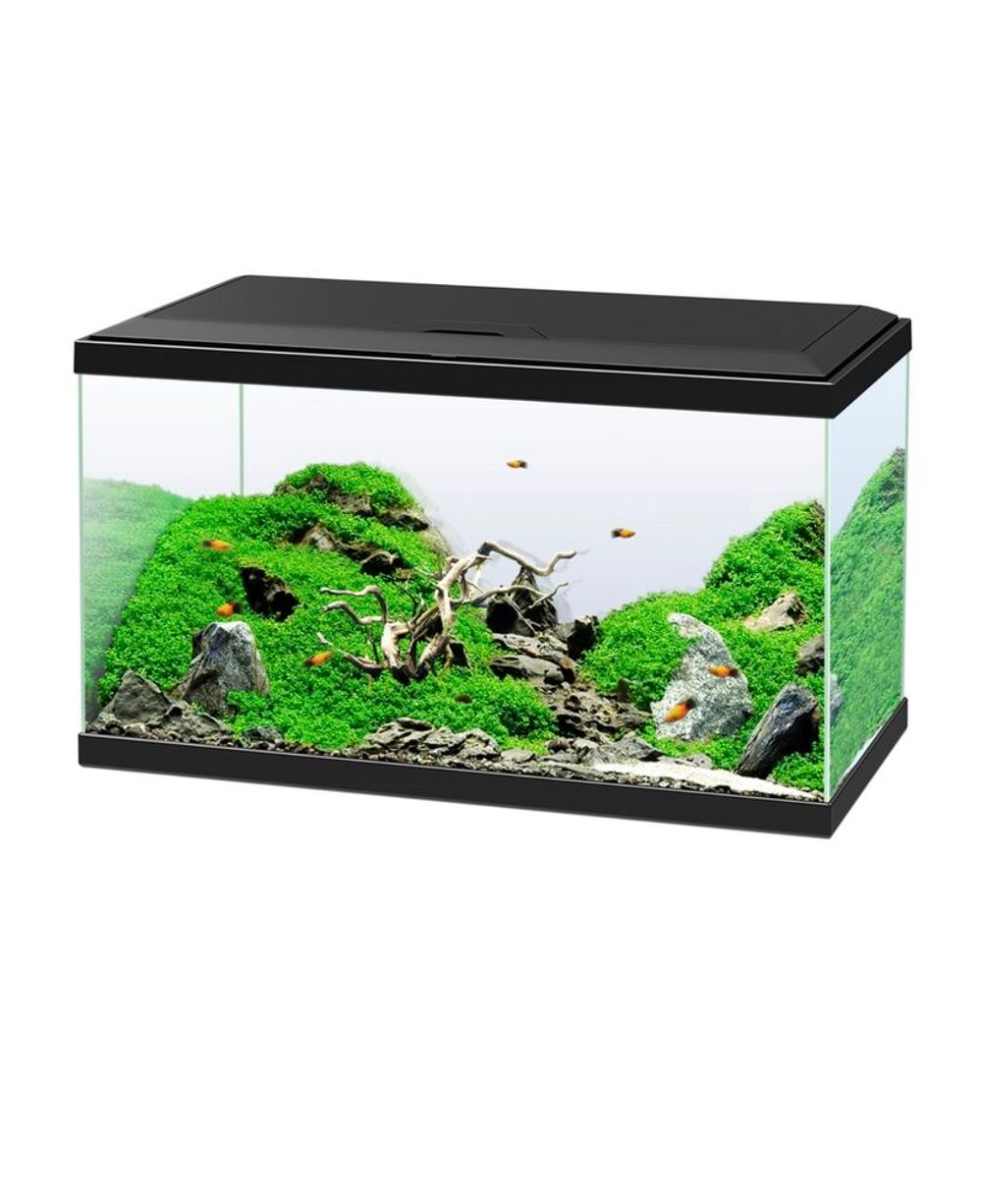   Aquarium 60L complet ? 50 € 