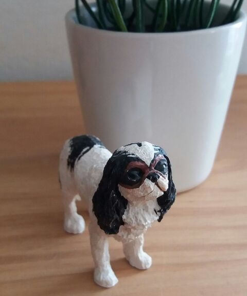 Miniature petit chien de race pagneul japonais - collection 3 Domart-en-Ponthieu (80)