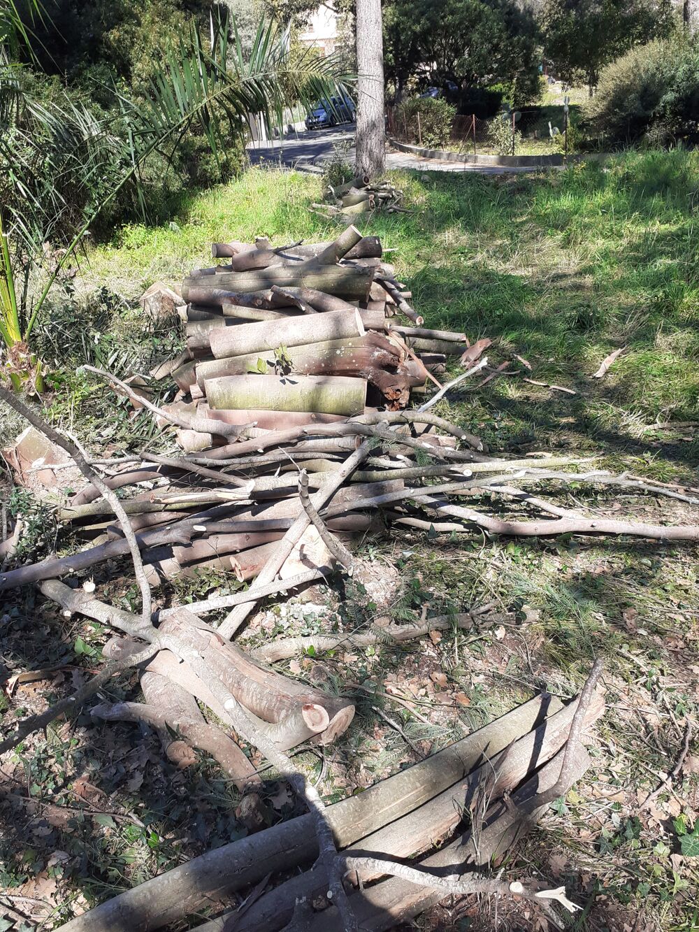 BOIS DE CHAUFFAGE Bricolage