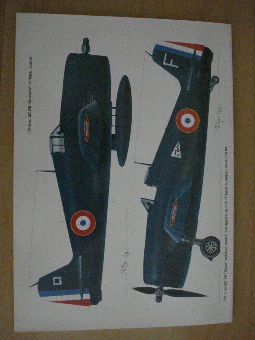Les chasseurs Grumman de l'Arm&eacute;e de l'Air. Hors S&eacute;rie N&deg;6 Livres et BD