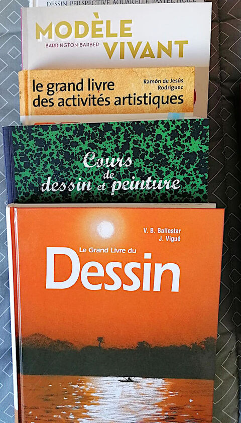 livres sur des cours de dessin 40 Fontaine-le-Comte (86)