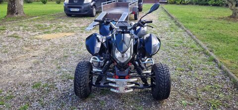 TRITON Quad 2009 occasion Condé-sur-l'Escaut 59163