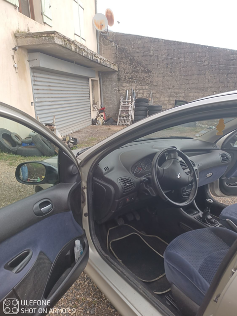 Peugeot 206 1.6i 16V Griffe