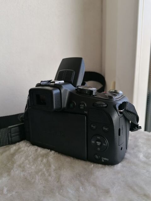 Panasonic photo/vido  120 Rez (44)