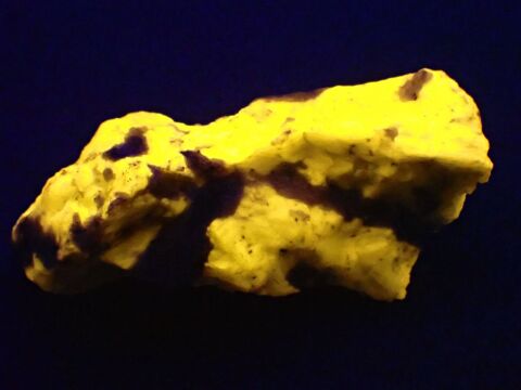 Scapolite ( vive fluorescence sous UV longs ) Québec 54 Bertrichamps (54)