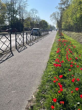  Villa � vendre 8 pi�ces 230 m�