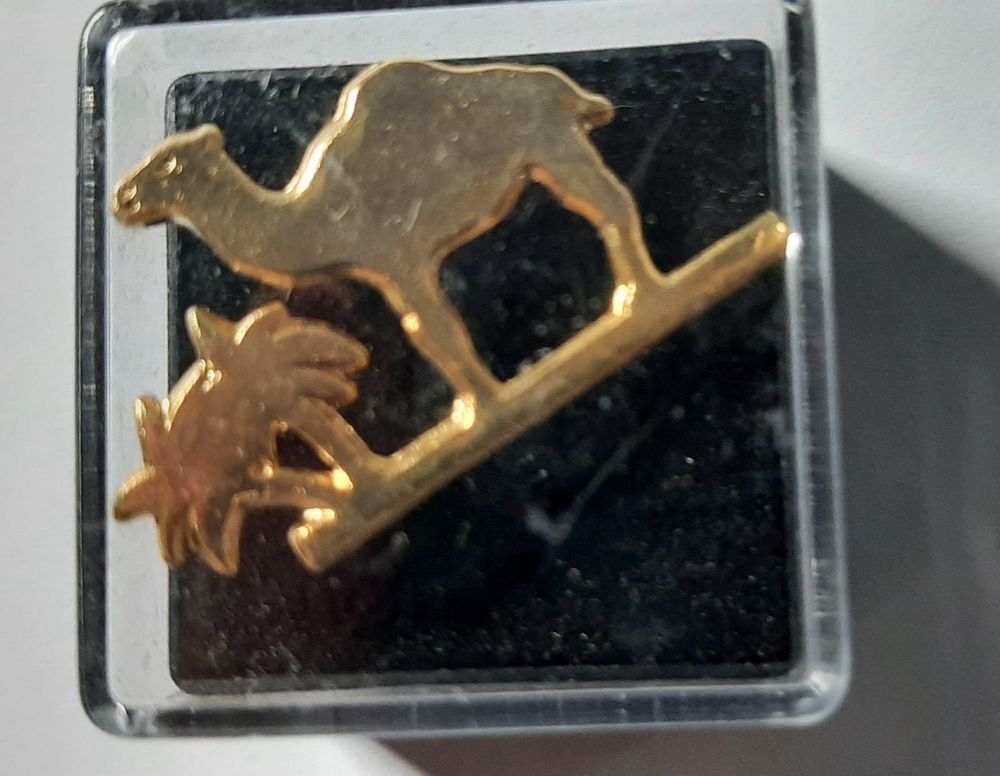 Pin's divers 