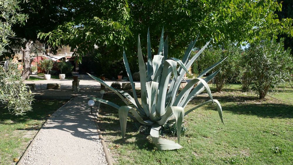 � vendre  Propri�t�/ch�teau Tarascon (13150)