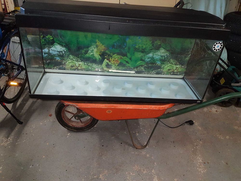 Aquarium+120litres+bon+&eacute;tat Meubles