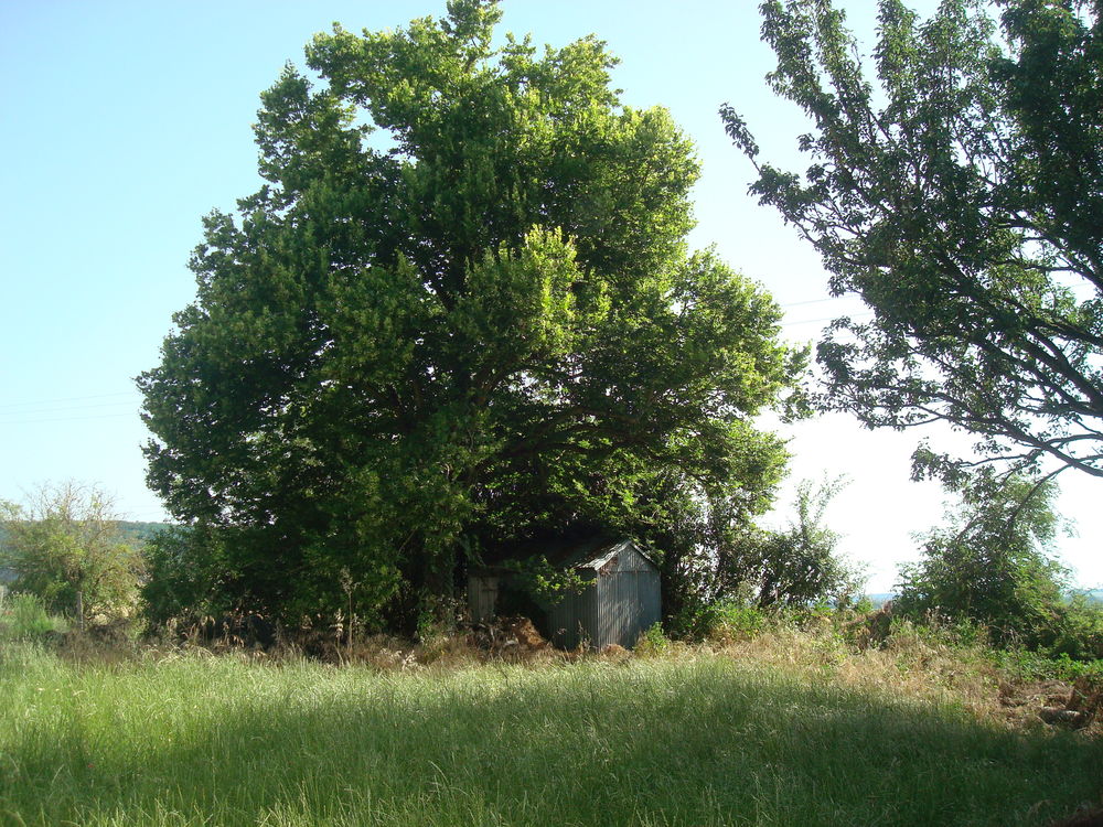 ABRI DE JARDIN Jardin