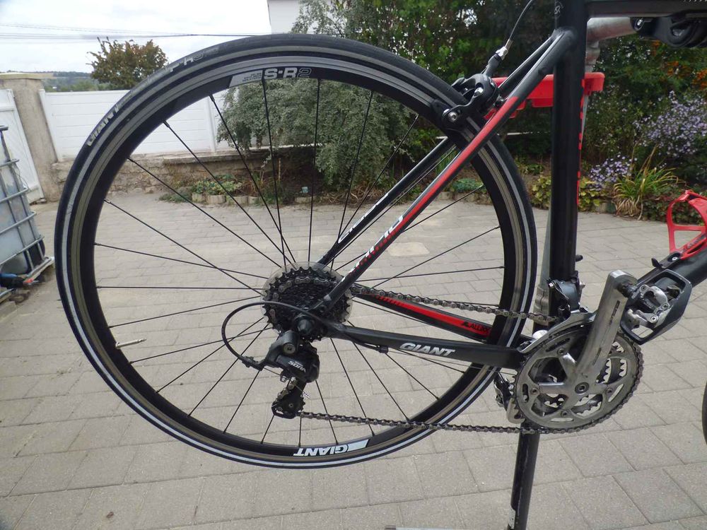  Giant Rapid 3 Taille L Confort am&eacute;lior&eacute; 320 € Vélos