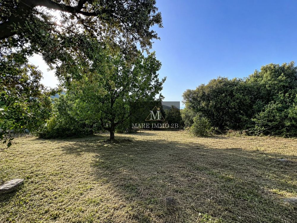 Vente Terrain Terrain constructible de 1025m² Calvi