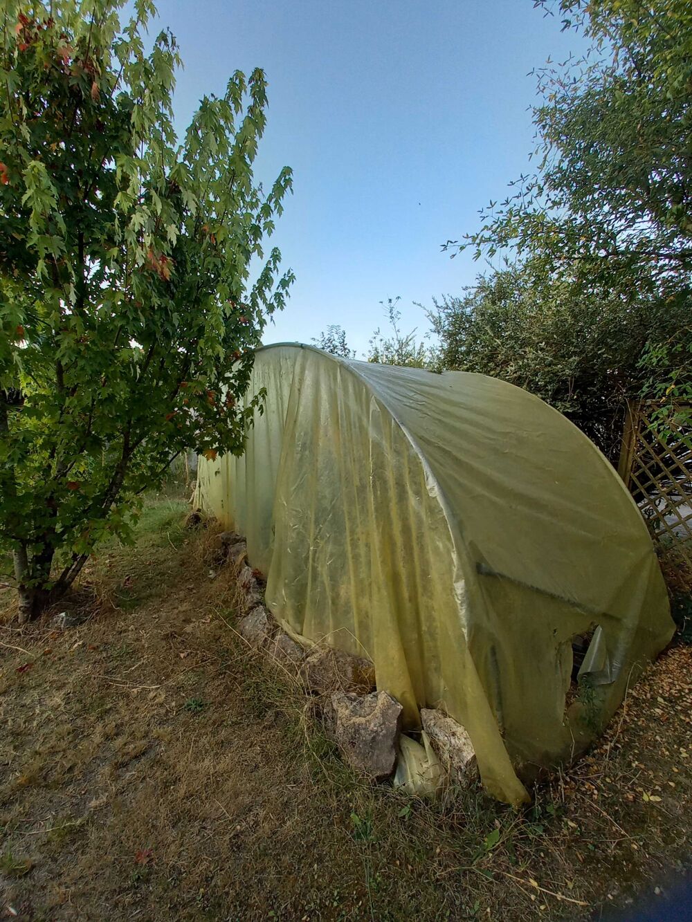 Serre de jardin Jardin