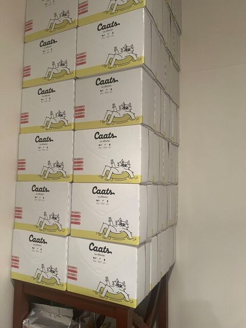 effiloch�s p�t�e chats et chatons 10 Vannes (56)