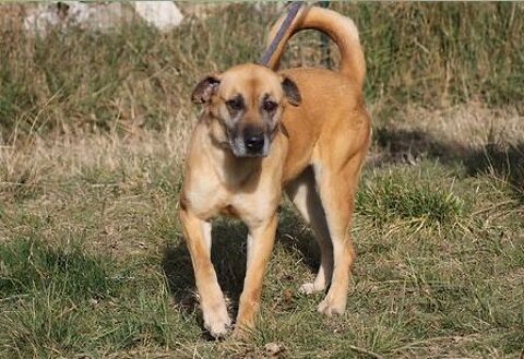 Dixie 130 26700 Pierrelatte