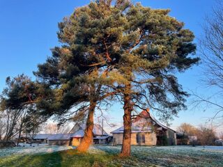  Maison � vendre 2 pi�ces 98 m�