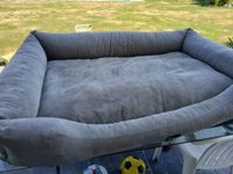   Coussin pour chien 