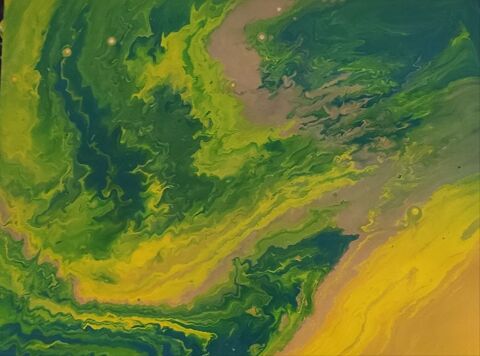 Peintures acrylique 30 Pau (64)
