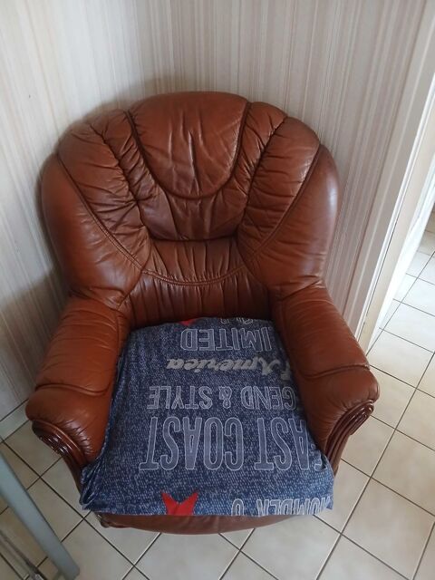 meuble de salon 20 Sablé-sur-Sarthe (72)