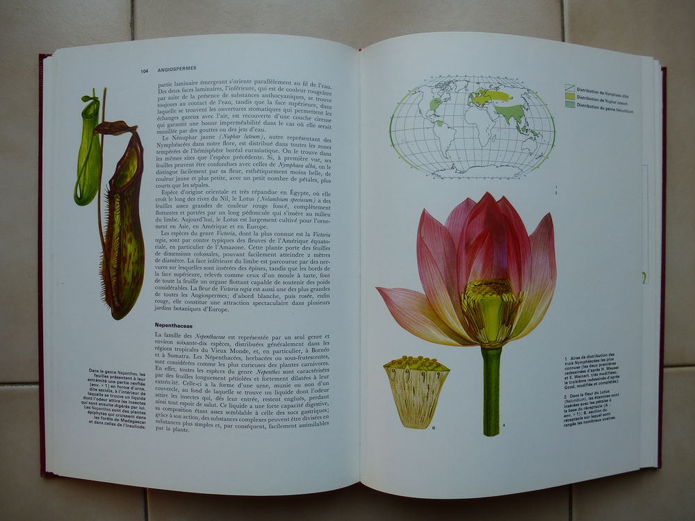 Encyclop&eacute;die de la nature Agnathes et poissons Livres et BD