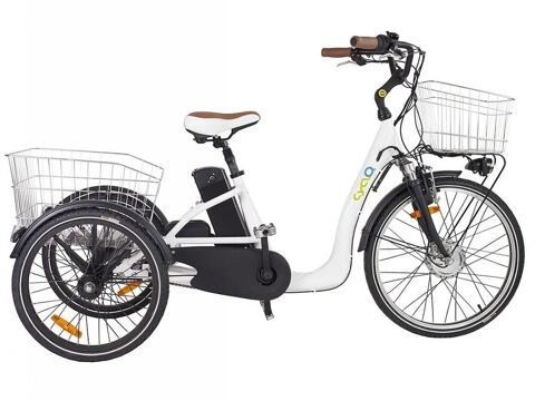 tricycle assistance éléctrique   1000 Saint-Août (36)
