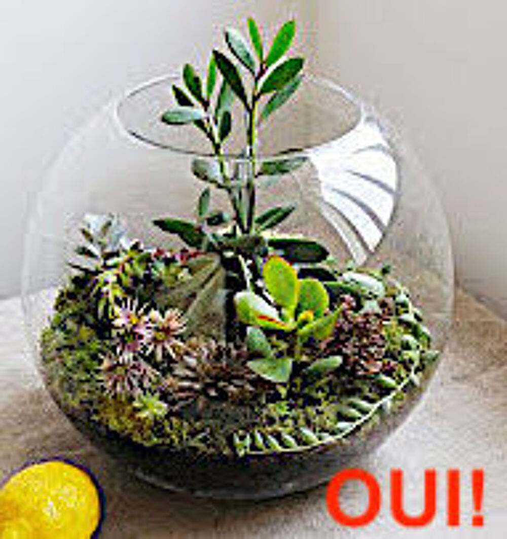   BOCAL  DECO - BOCAL BOULE  