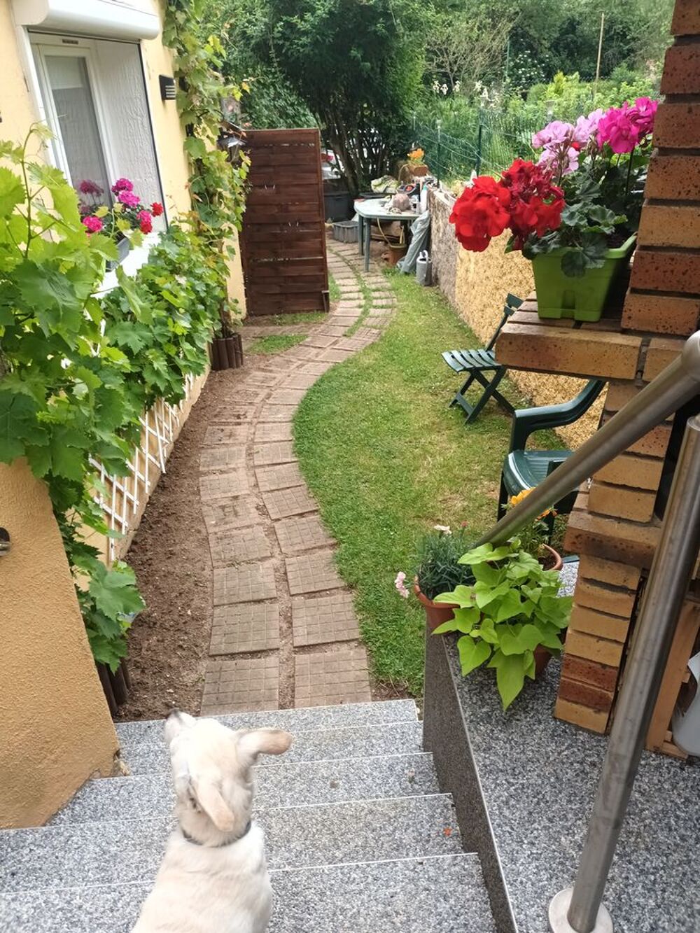   Petit jardi,n 