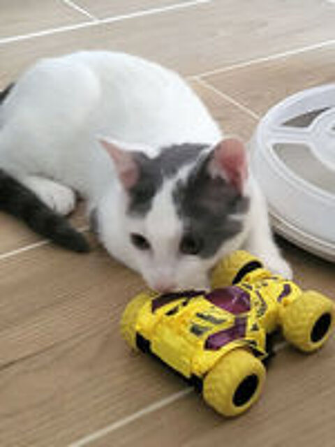   JACKSON 