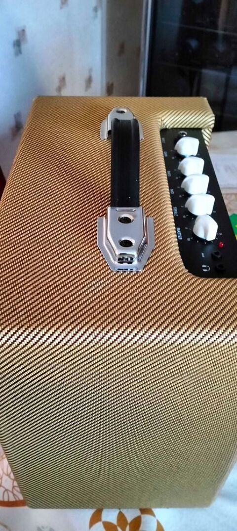 ampli guitare 50 Vernou-sur-Brenne (37)