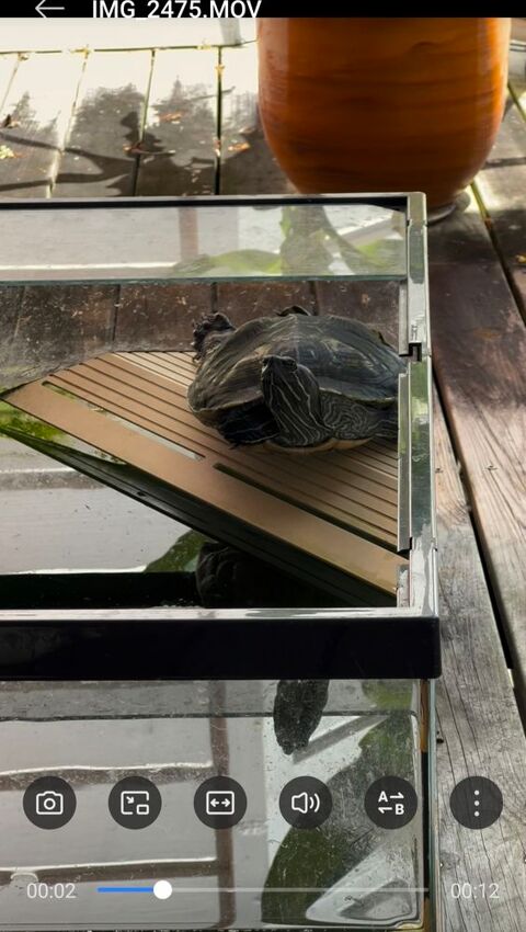 Terrarium pour tortue 40 97116 Pointe-noire