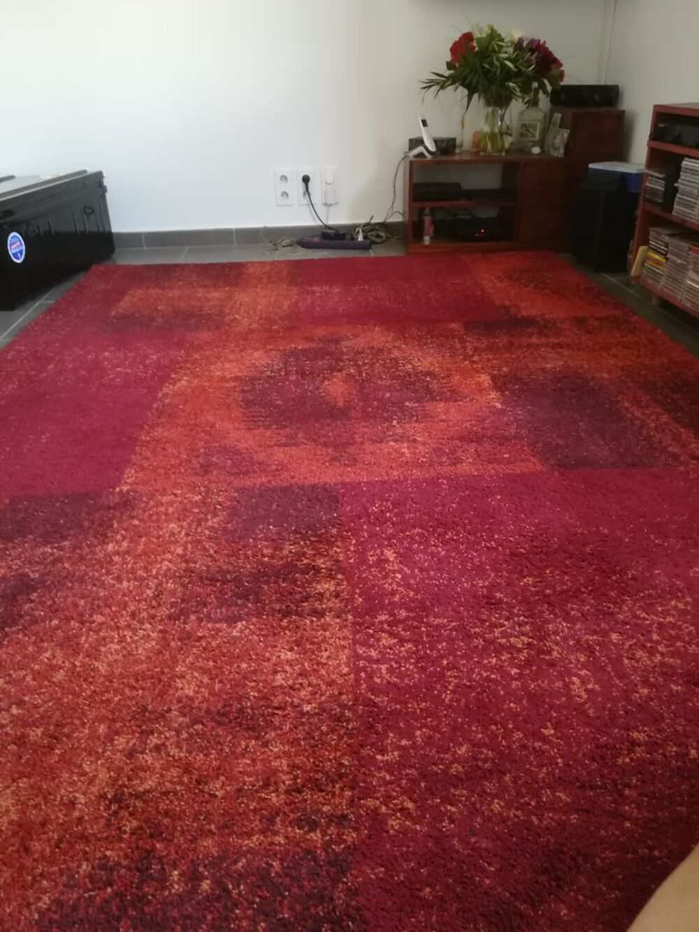  Tapis pour salon, salle a manger Décoration