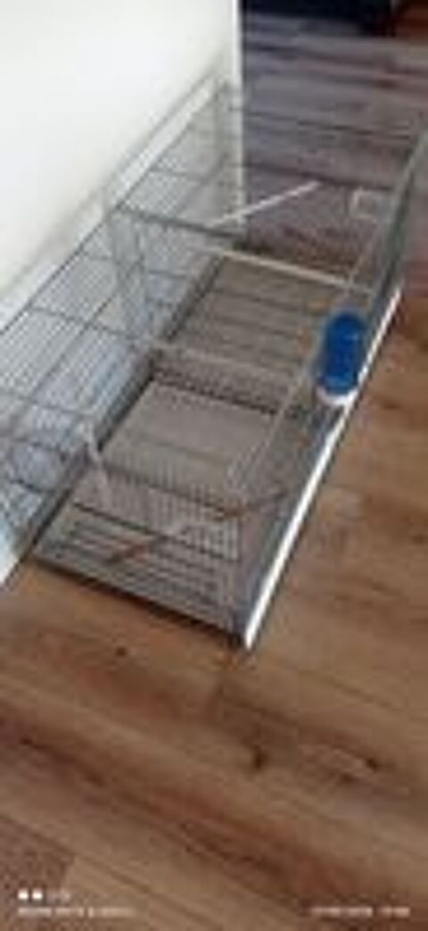   Cage reproduction  