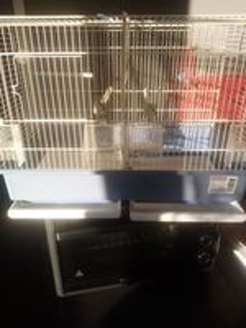   Cage double zoluxe 60cm
