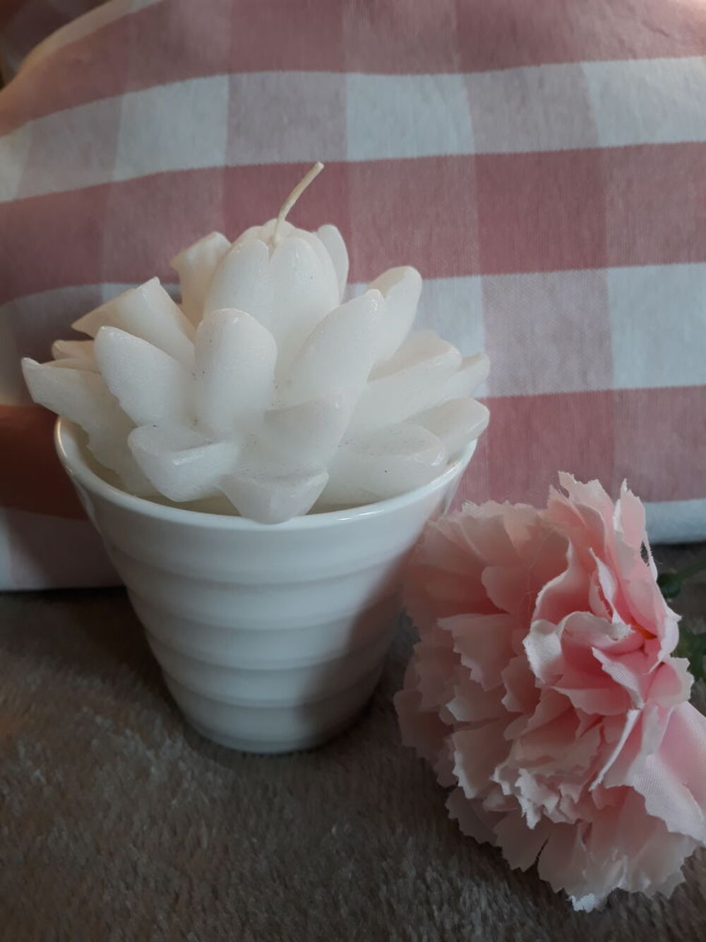 Bougies lotus Blanc + Vase - NEUF Décoration