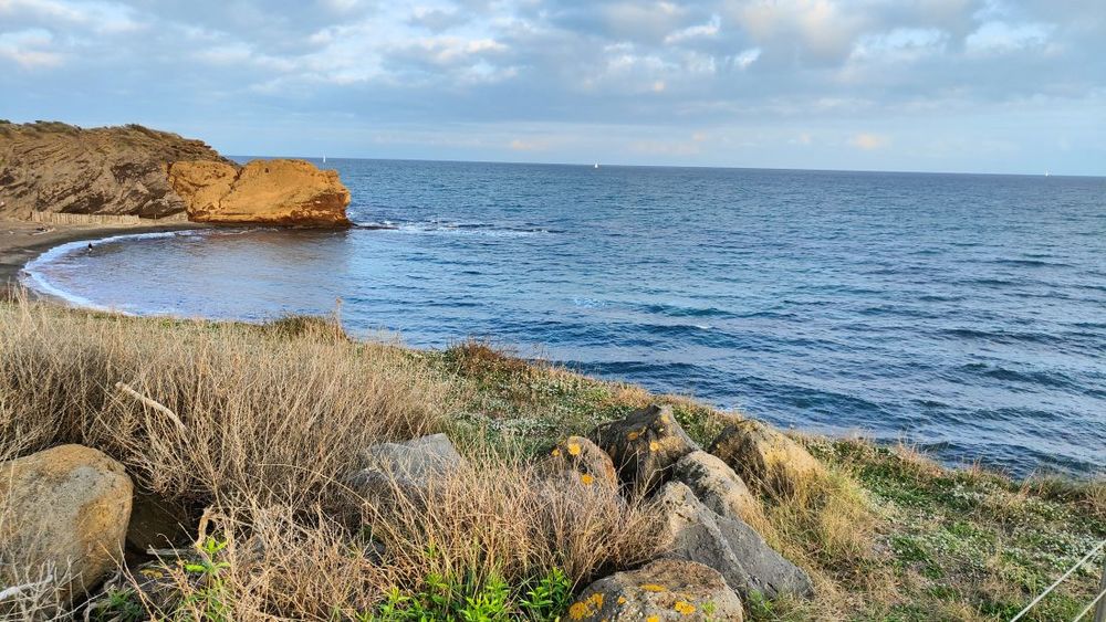 Vente Appartement LE CAP D'AGDE: Studio-cabine secteur des falaises, vendu meublé et équipé, rez de jardin Le cap d agde