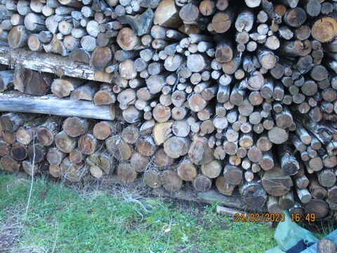 Bois de chauffage chataignier 60 Lanouaille (24)