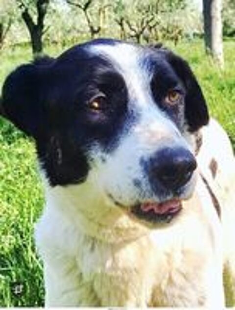   JACKY SE TROUVE DANS UN REFUGE EN ALBANIE 